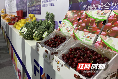 周末果品會 繽紛水果盛宴，盡享舌尖上的甜蜜時光