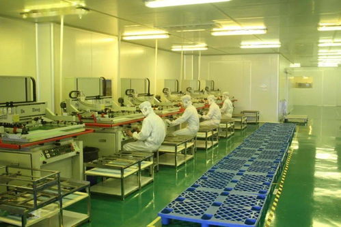 中共湛江市委十一屆十次全會工作報告要點 深化人力資源服務，規范職業中介活動，賦能高質量發展